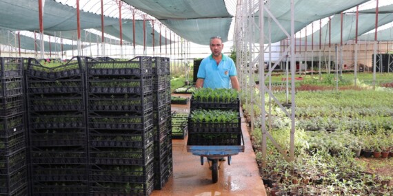ALANYA BELEDİYESİ MEZARLIKLARDA 68 BİN ADET ÇİÇEĞİ ÜCRETSİZ DAĞITACAK