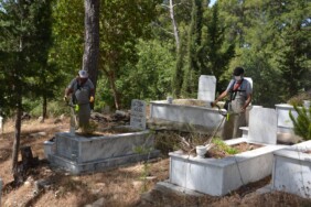 PHOTO-2024-06-10-11-29-05