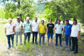 56279d35-1cf1-47a9-83b0-deb19de91bb2