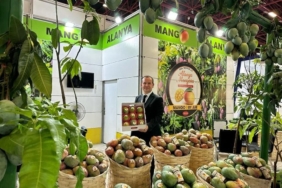 cd6c4bf9-0106-4b70-a97e-7694c7782ca2