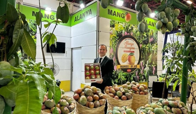 Ezici’den, erken mango hasadı tepkisi! ‘Çocuklarınıza helal para yedirin’