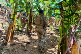 denetim-jandarma-bahce