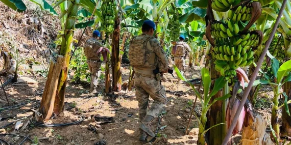 Alanya’da bahçeler jandarmaya emanet