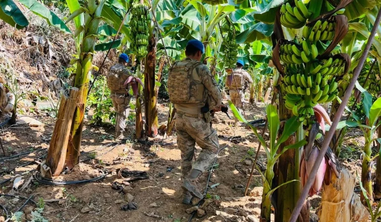 Alanya’da bahçeler jandarmaya emanet