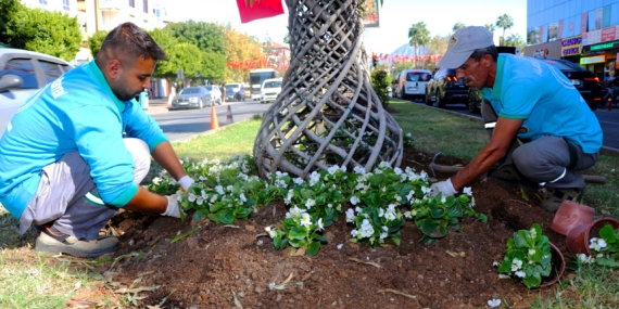 ALANYA BELEDİYESİ MEVSİMLİK ÇİÇEK DİKİMLERİNE BAŞLADI