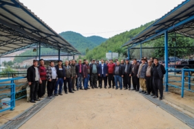 175f0a0d-d0d1-4a71-9acf-cdf81189d552