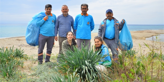 ALANYA’DA SAHİL TEMİZLİĞİ: KUM ZAMBAKLARI VE CARETTA CARETTALAR KORUMA ALTINDA
