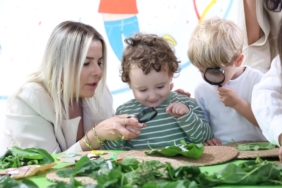 ceded75a-0972-42a4-83ea-85e13571831b