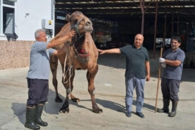 547912969_31289685734011110_583460904740033059_n