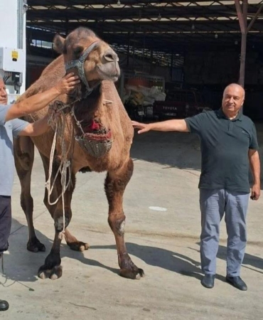 547912969_31289685734011110_583460904740033059_n