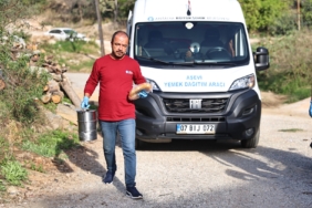 25039fae-7b4b-4f85-88db-7ea078a8c738