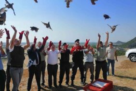 Kinali-keklikler-dogaya-salindi-05fcc3bdc6334219a486879bfb6e3514